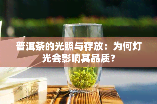 普洱茶的光照与存放：为何灯光会影响其品质？