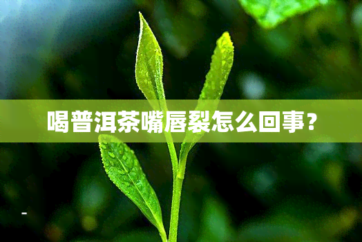 喝普洱茶嘴唇裂怎么回事？