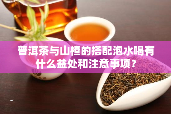 普洱茶与山楂的搭配泡水喝有什么益处和注意事项？