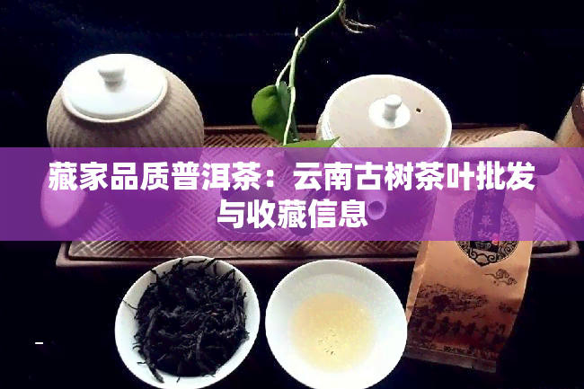 藏家品质普洱茶：云南古树茶叶批发与收藏信息