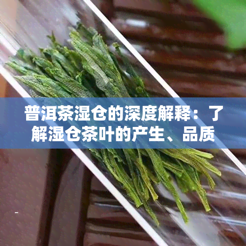 普洱茶湿仓的深度解释：了解湿仓茶叶的产生、品质与保存方法