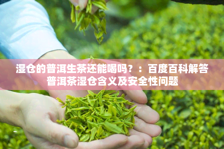 湿仓的普洱生茶还能喝吗？：百度百科解答普洱茶湿仓含义及安全性问题