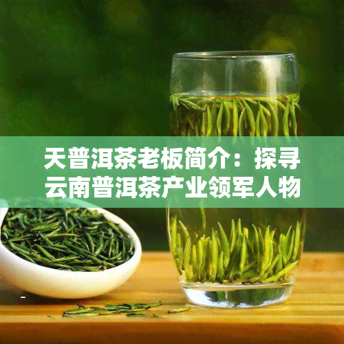 天普洱茶老板简介：探寻云南普洱茶产业领军人物资料。