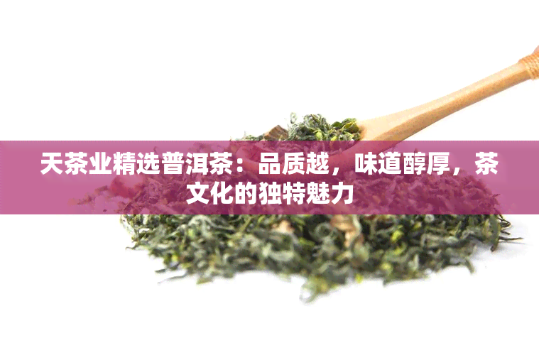 天茶业精选普洱茶：品质越，味道醇厚，茶文化的独特魅力