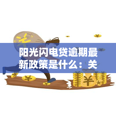 阳光闪电贷逾期最新政策是什么：关于贷款逾期的处理方式和可能的后果。