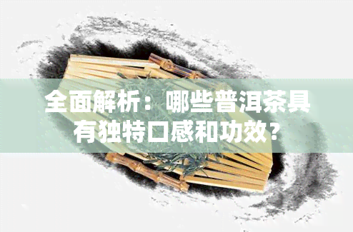 全面解析：哪些普洱茶具有独特口感和功效？