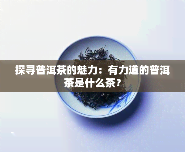 探寻普洱茶的魅力：有力道的普洱茶是什么茶？