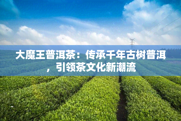 大魔王普洱茶：传承千年古树普洱，引领茶文化新潮流