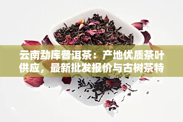 云南勐库普洱茶：产地优质茶叶供应，最新批发报价与古树茶特点分析