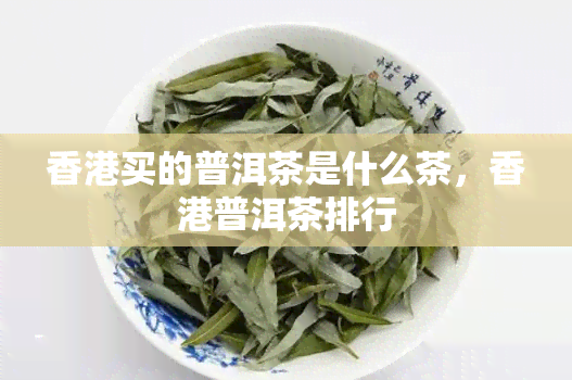 买的普洱茶是什么茶，普洱茶排行