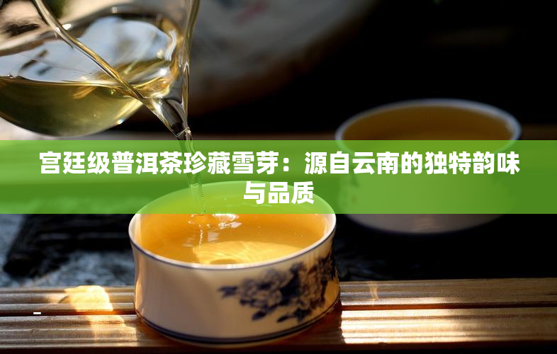 宫廷级普洱茶珍藏雪芽：源自云南的独特韵味与品质