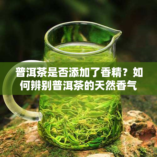 普洱茶是否添加了香精？如何辨别普洱茶的天然香气？