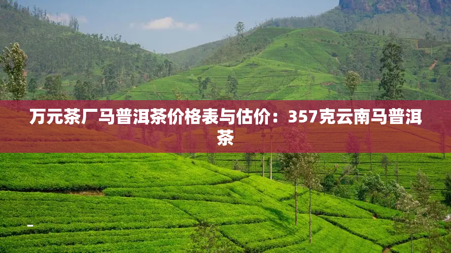 万元茶厂马普洱茶价格表与估价：357克云南马普洱茶
