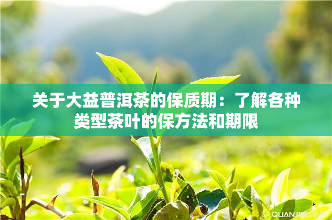 关于大益普洱茶的保质期：了解各种类型茶叶的保方法和期限