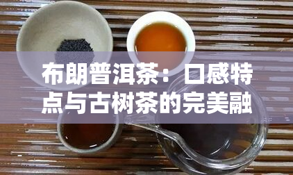 布朗普洱茶：口感特点与古树茶的完美融合