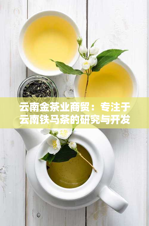 云南金茶业商贸：专注于云南铁马茶的研究与开发
