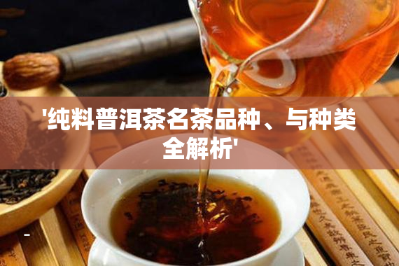 '纯料普洱茶名茶品种、与种类全解析'