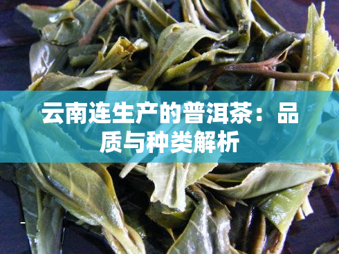 云南连生产的普洱茶：品质与种类解析