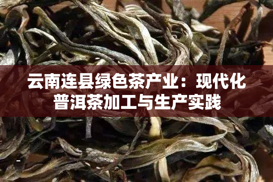 云南连县绿色茶产业：现代化普洱茶加工与生产实践