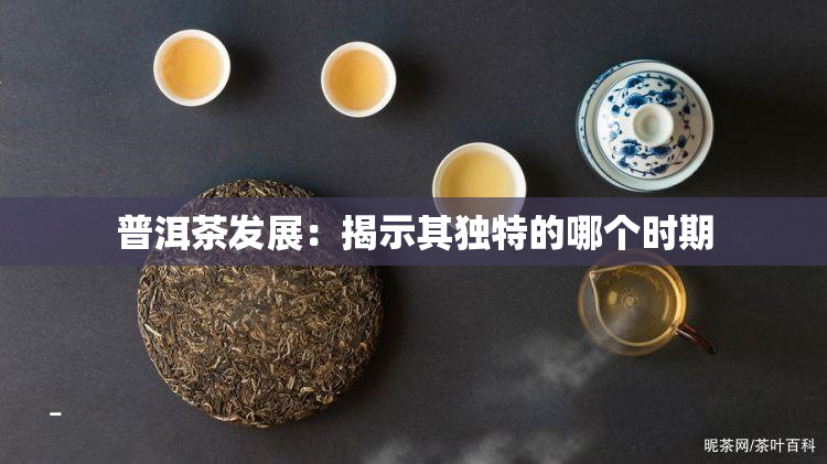 普洱茶发展：揭示其独特的哪个时期