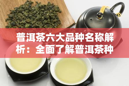 普洱茶六大品种名称解析：全面了解普洱茶种类及其特点