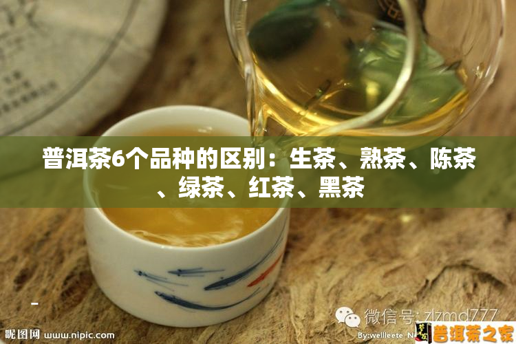 普洱茶6个品种的区别：生茶、熟茶、陈茶、绿茶、红茶、黑茶