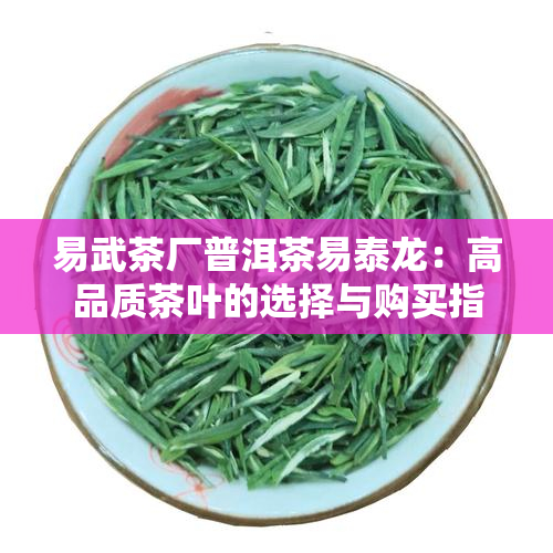 易武茶厂普洱茶易泰龙：高品质茶叶的选择与购买指南