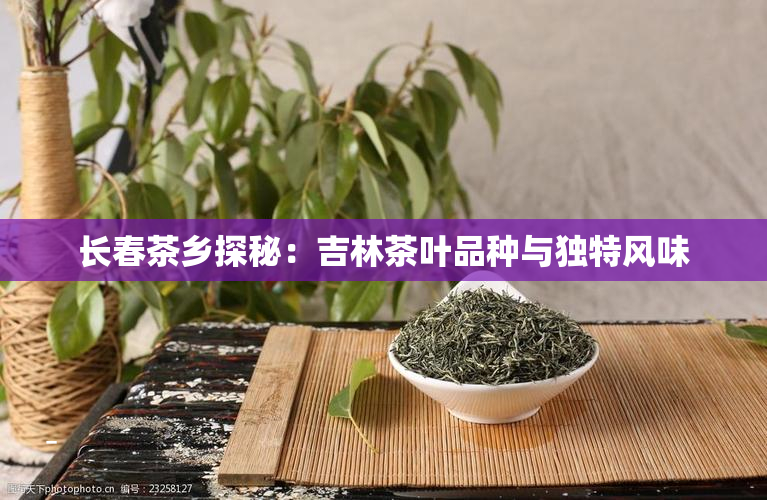 长春茶乡探秘：吉林茶叶品种与独特风味