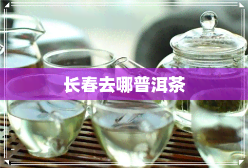 长春去哪普洱茶