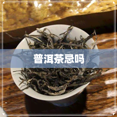 普洱茶忌吗