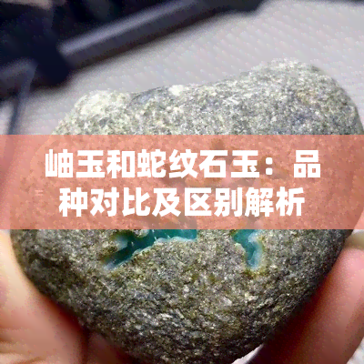 岫玉和蛇纹石玉：品种对比及区别解析