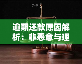 逾期还款原因解析：非恶意与理解借款人困境的全面探讨