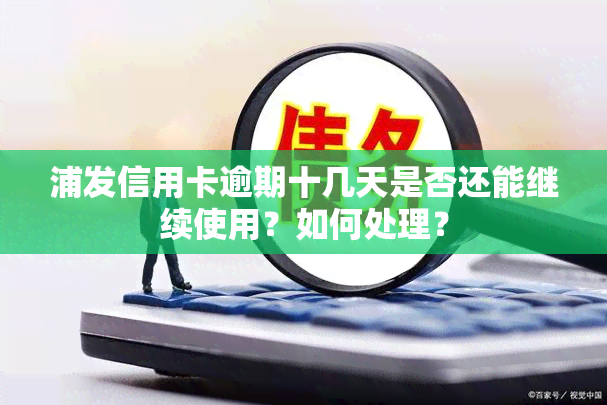 浦发信用卡逾期十几天是否还能继续使用？如何处理？