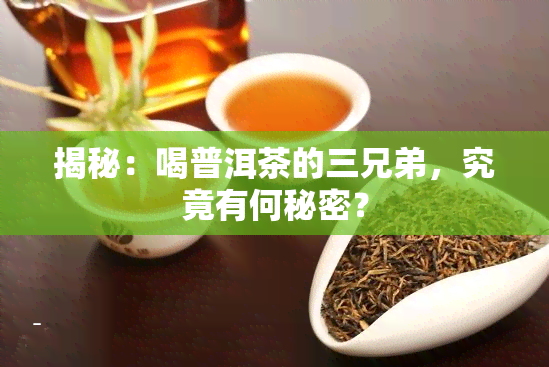 揭秘：喝普洱茶的三兄弟，究竟有何秘密？