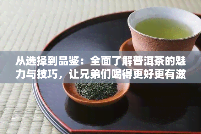 从选择到品鉴：全面了解普洱茶的魅力与技巧，让兄弟们喝得更好更有滋味！