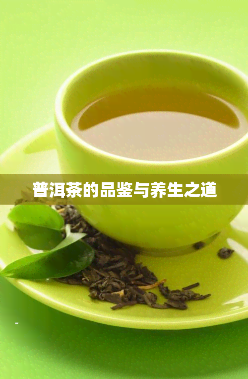 普洱茶的品鉴与养生之道