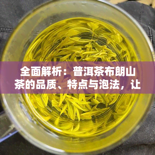 全面解析：普洱茶布朗山茶的品质、特点与泡法，让你轻松选购与品鉴