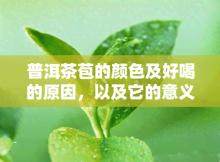 普洱茶苞的颜色及好喝的原因，以及它的意义