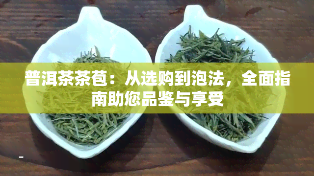 普洱茶茶苞：从选购到泡法，全面指南助您品鉴与享受