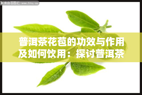 普洱茶花苞的功效与作用及如何饮用：探讨普洱茶花苞的效用
