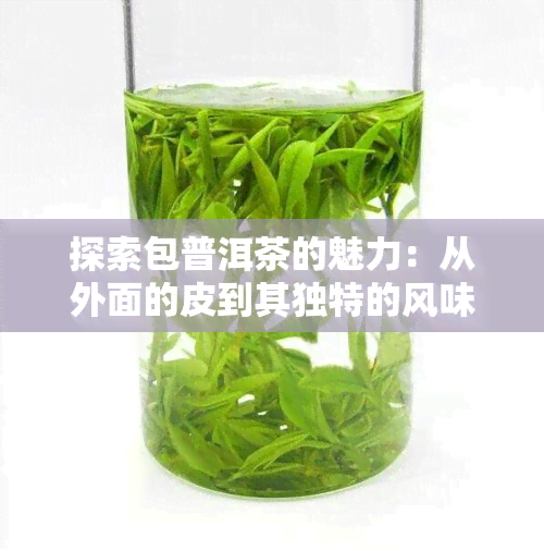 探索包普洱茶的魅力：从外面的皮到其独特的风味和功效