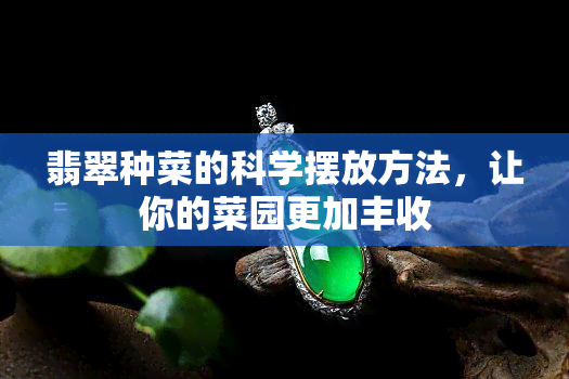 翡翠种菜的科学摆放方法，让你的菜园更加丰收