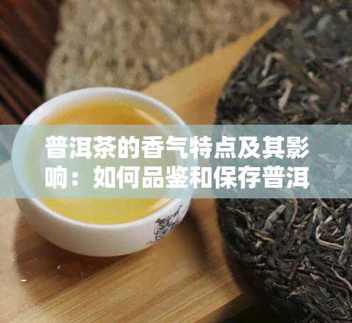 普洱茶的香气特点及其影响：如何品鉴和保存普洱茶的香气？