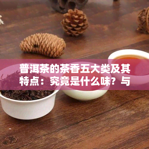 普洱茶的茶香五大类及其特点：究竟是什么味？与茶味有何区别？