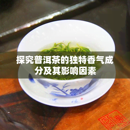 探究普洱茶的独特香气成分及其影响因素