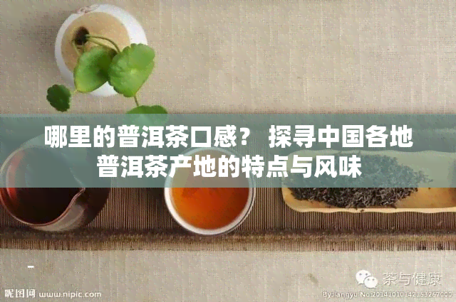 哪里的普洱茶口感？ 探寻中国各地普洱茶产地的特点与风味