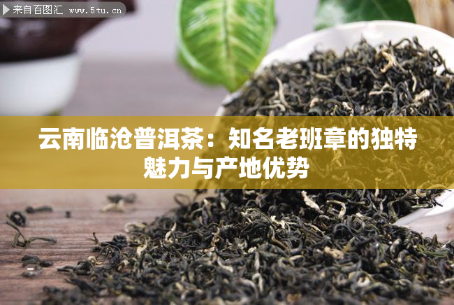 云南临沧普洱茶：知名老班章的独特魅力与产地优势