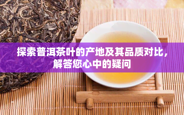 探索普洱茶叶的产地及其品质对比，解答您心中的疑问