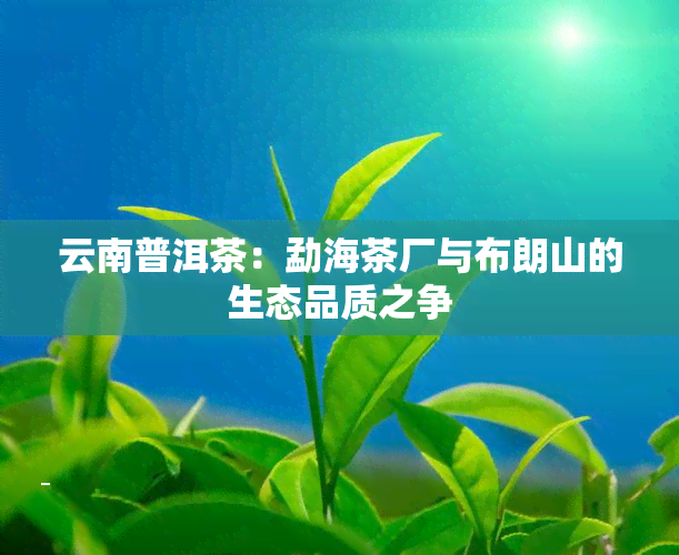 云南普洱茶：勐海茶厂与布朗山的生态品质之争