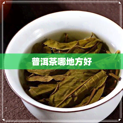 普洱茶哪地方好